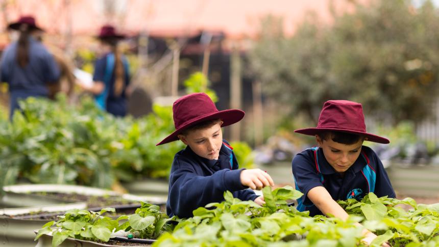 Two school children in hats and uniforms working outside in garden.